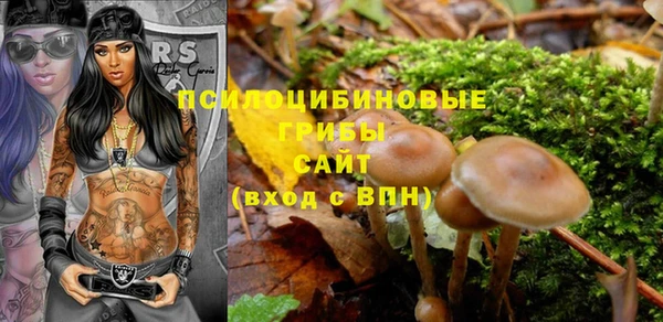 стафф Абдулино
