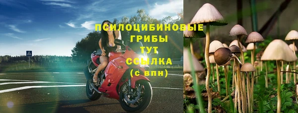 стафф Абдулино
