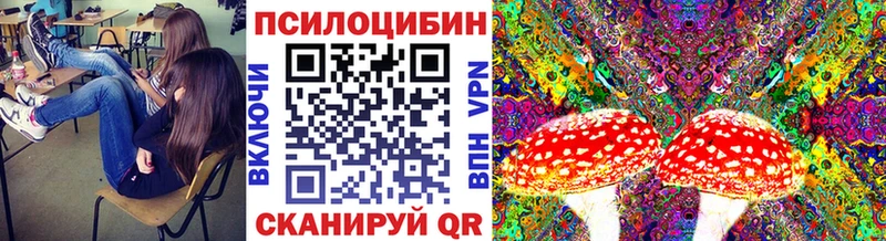 где найти Адыгейск Галлюциногенные грибы мицелий